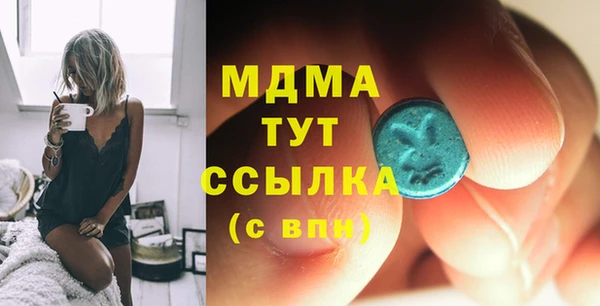 индика Михайловск