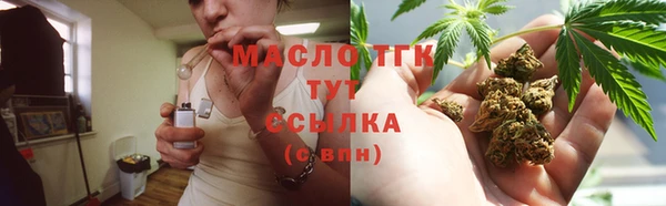 индика Михайловск