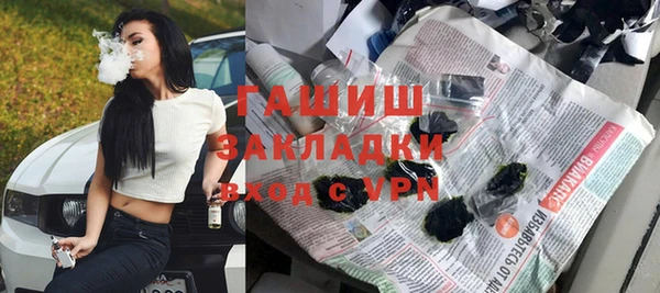 индика Михайловск