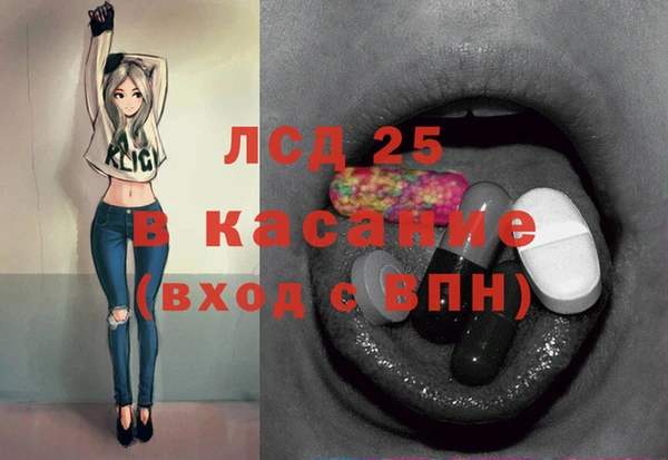 индика Михайловск
