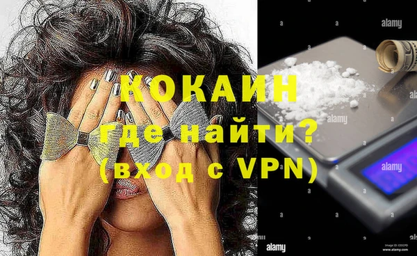 индика Михайловск