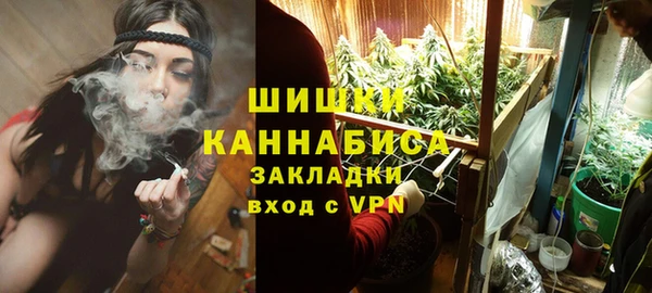 индика Михайловск