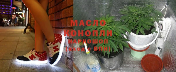индика Михайловск
