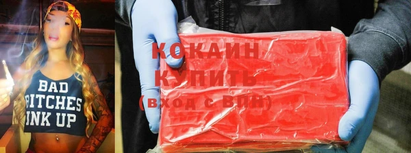индика Михайловск